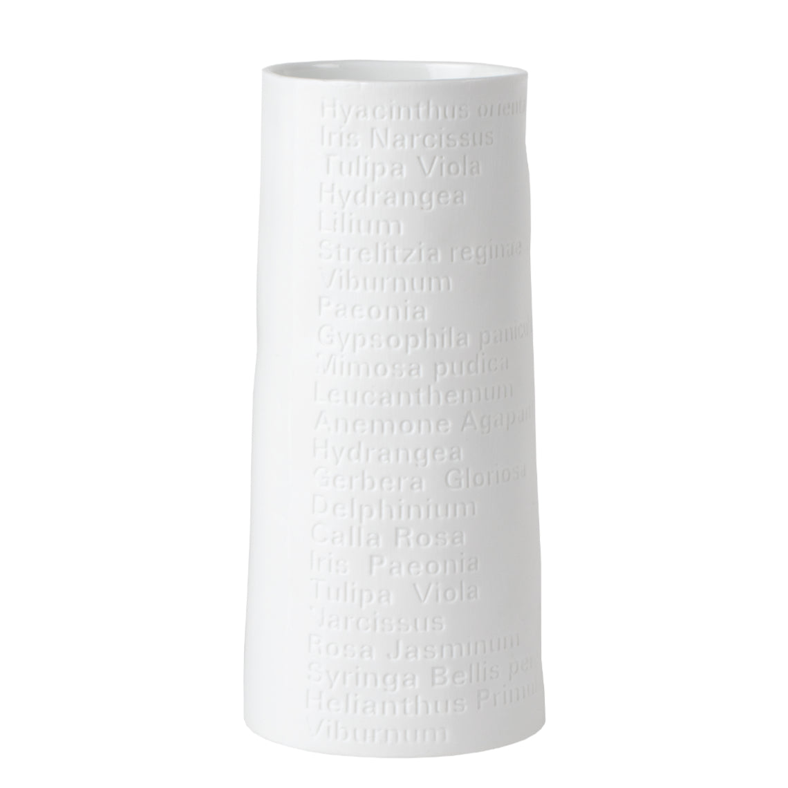Räder Vase Raumpoesie
